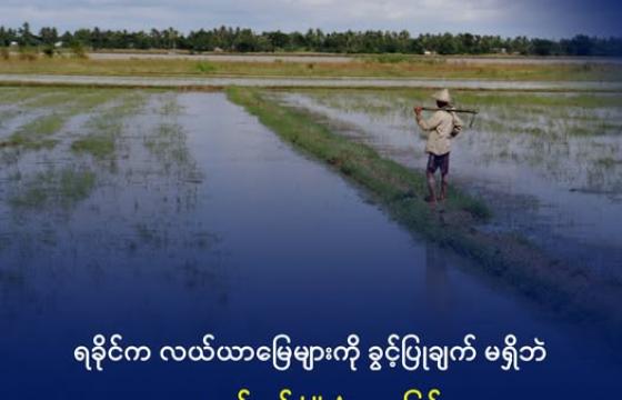 ကျောက်တော်မြို့နယ်မှ လယ်ယာမြေများကို ပြီးခဲ့သည့် ရက်ပိုင်းက တွေ့ရစဥ်။ ဓာတ်ပုံ - DMG