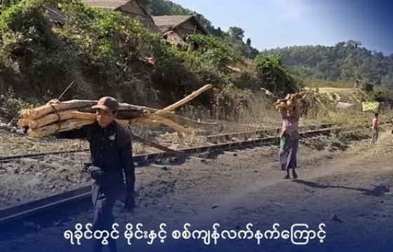 တောတောင်ကိုအမှီပြုလုပ်ကိုင်စားသောက်နေကြရသည့် ပုဏ္ဏားကျွန်းမြို့နယ်မှ စစ်ဘေး ရှောင်များအား ယခုလအတွင်း တွေ့ရစဉ်။