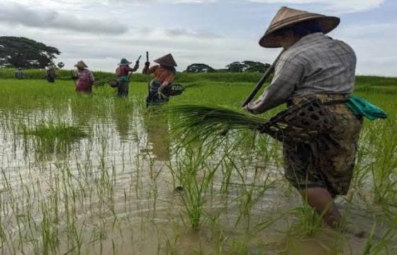 ဓာတ်ပုံ-CJ