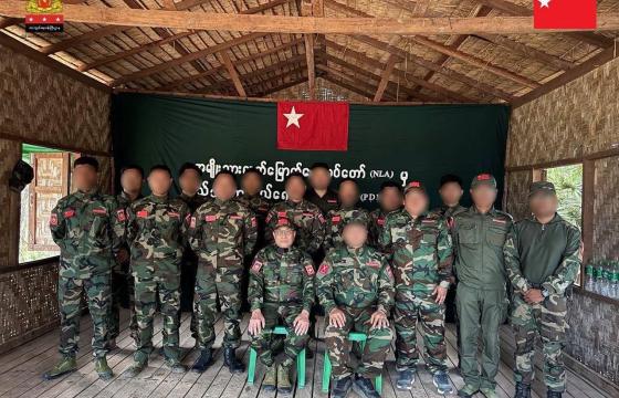 ဓာတ်ပုံ-PDF